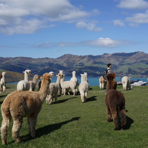 小程序,企業(yè)移動(dòng)辦公,OA,網(wǎng)站建設(shè),連云港網(wǎng)站,連云港網(wǎng)站開(kāi)發(fā)，系統(tǒng)開(kāi)發(fā)，微信開(kāi)發(fā)，微信公眾號(hào)，微信企業(yè)號(hào)，微信訂閱號(hào)，微信服務(wù)號(hào)開(kāi)發(fā),微教育